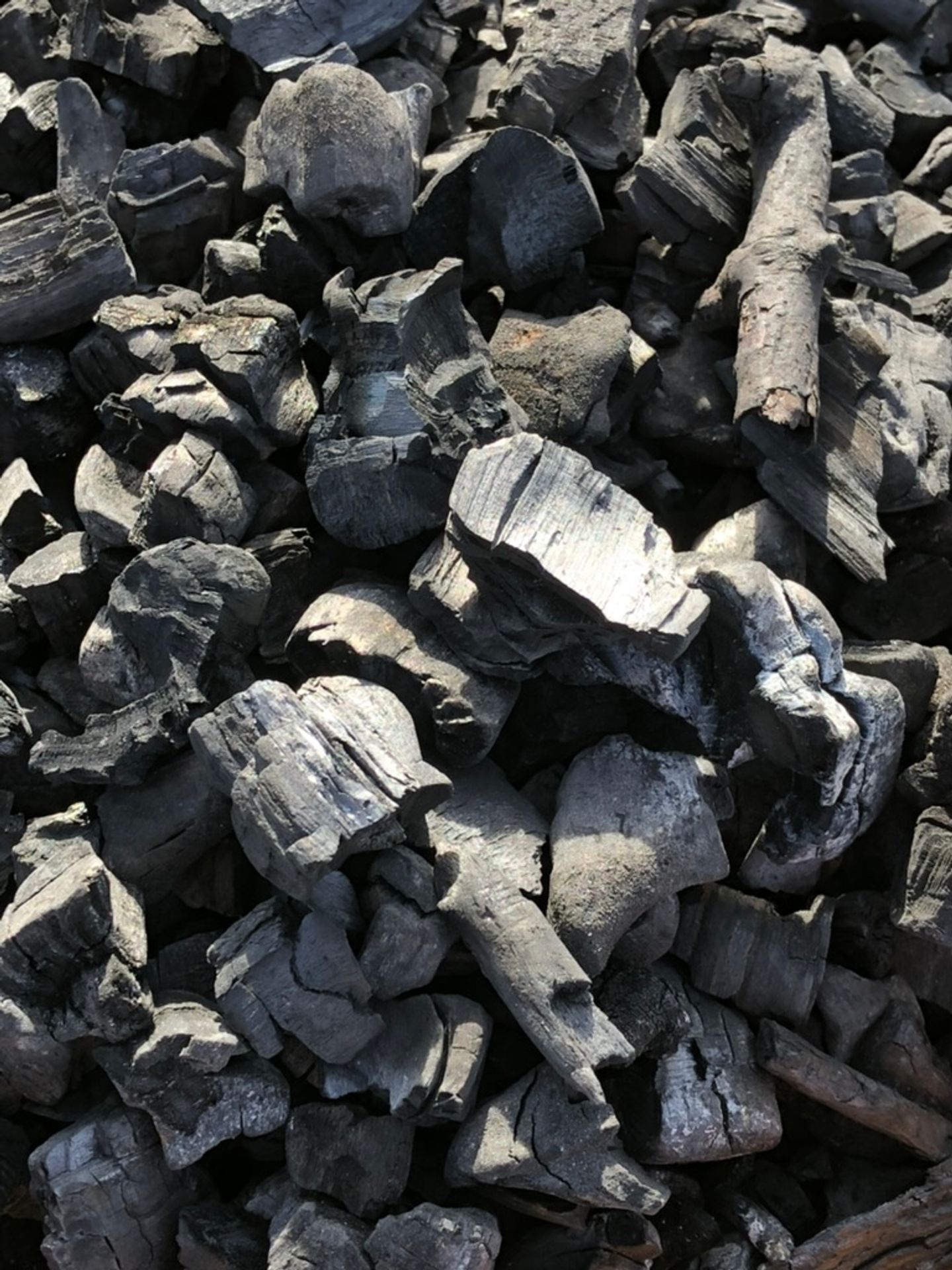 Up close of the charcoal