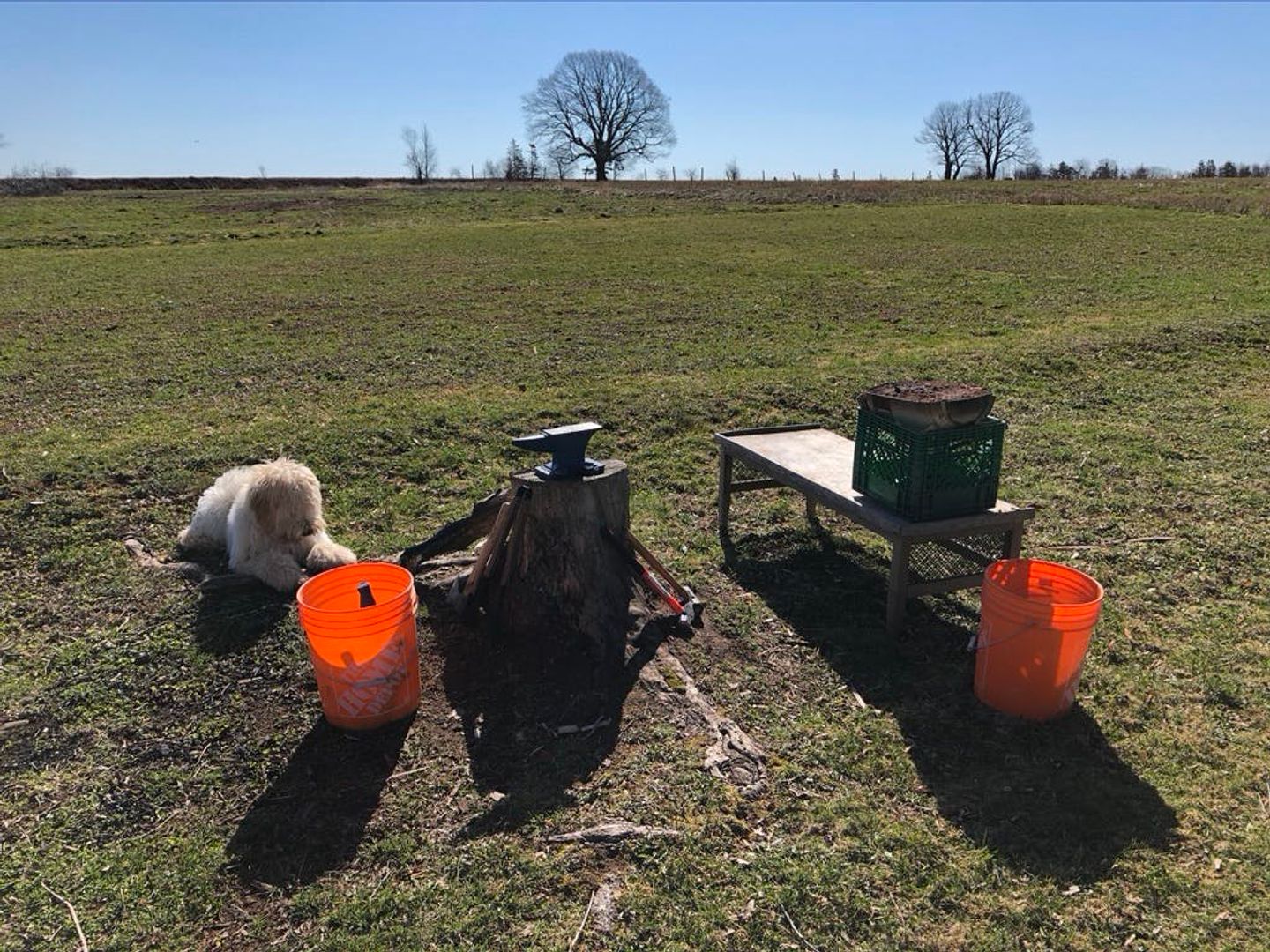 New setup with the forge raised up